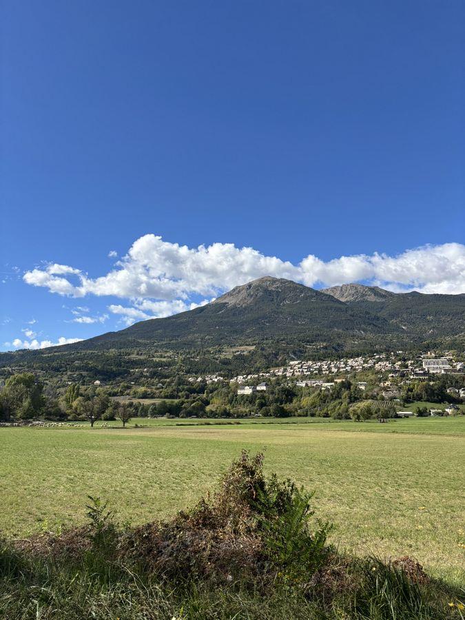 Le Montè-Guillaume